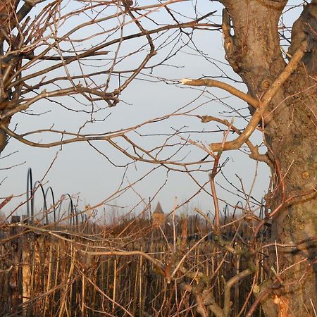 De Betuwe Otel Asch Dış mekan fotoğraf