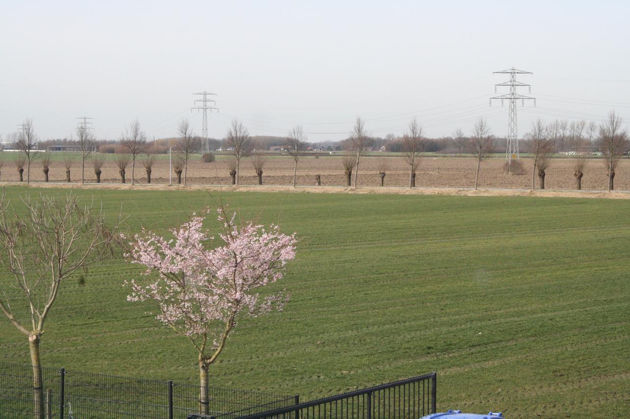 De Betuwe Otel Asch Oda fotoğraf
